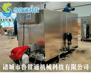 1噸燃?xì)猓ㄓ停┱羝l(fā)生器 現(xiàn)貨供應(yīng)，工廠直銷，規(guī)格型號眾多，可來電咨詢